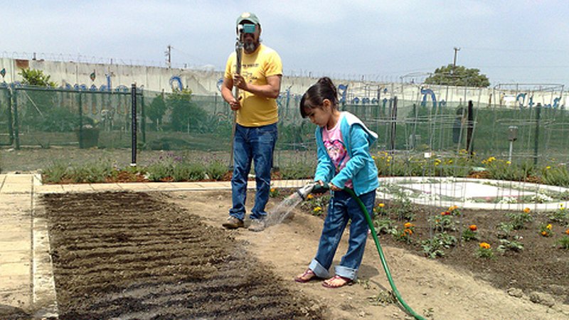 Girl watering garden_800x450.jpg